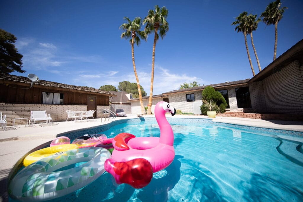 Las Vegas backyard with a pool full of floats including a pink flamingo with palm trees in the background