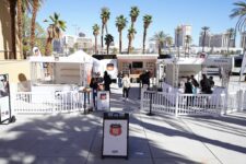 How Sony’s Inventive Area Tour Acts as a Steady Suggestions Loop